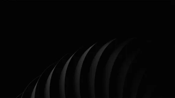 スタルダ カジノ サポート